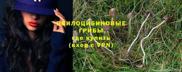 2c-b Алексеевка