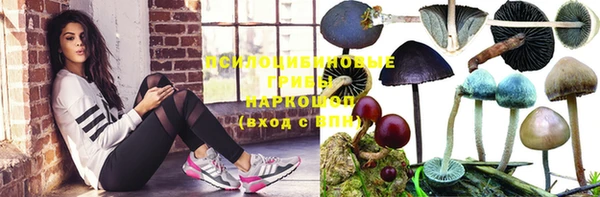 2c-b Алексеевка
