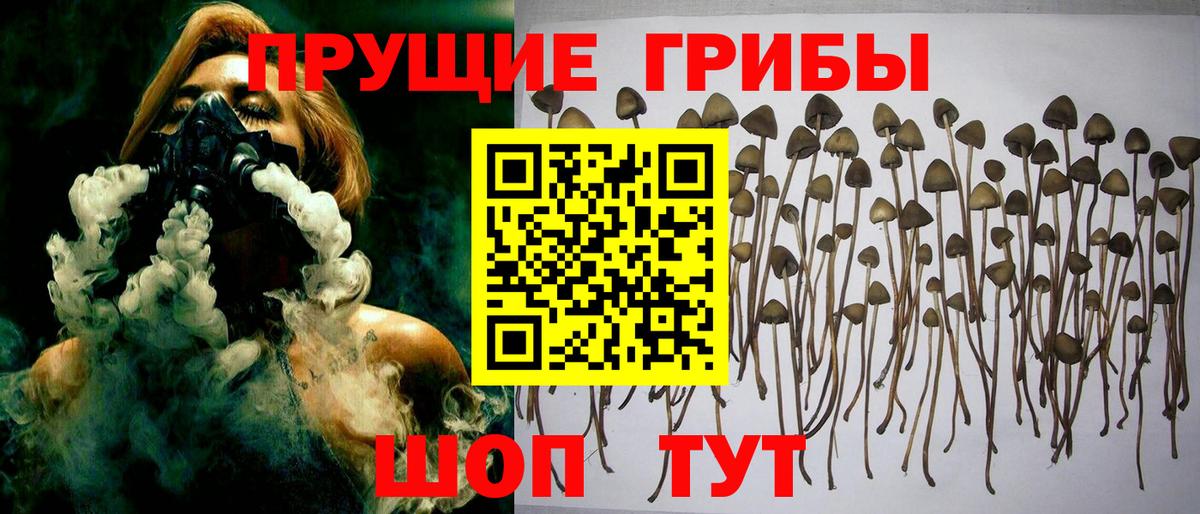 Псилоцибиновые грибы MAGIC MUSHROOMS Сатка